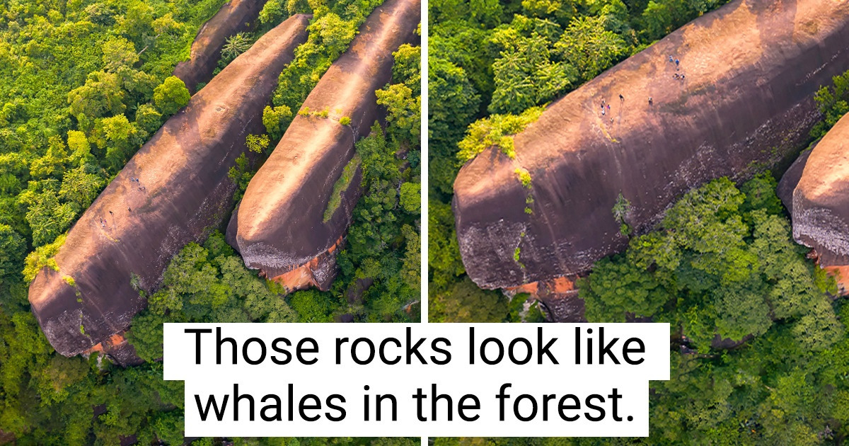 15+ Times Where We Let Our Imagination Run Wild