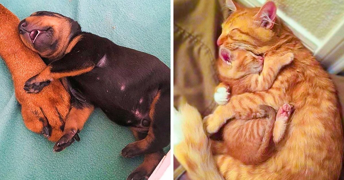 20 Photos Proving the Safest Place in the World Is Next to Your Mom 20 Photos Proving the Safest Place in the World Is Next to Your Mom