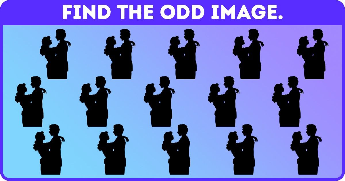 Spot the Different Silhouette in Less Than 15 Seconds