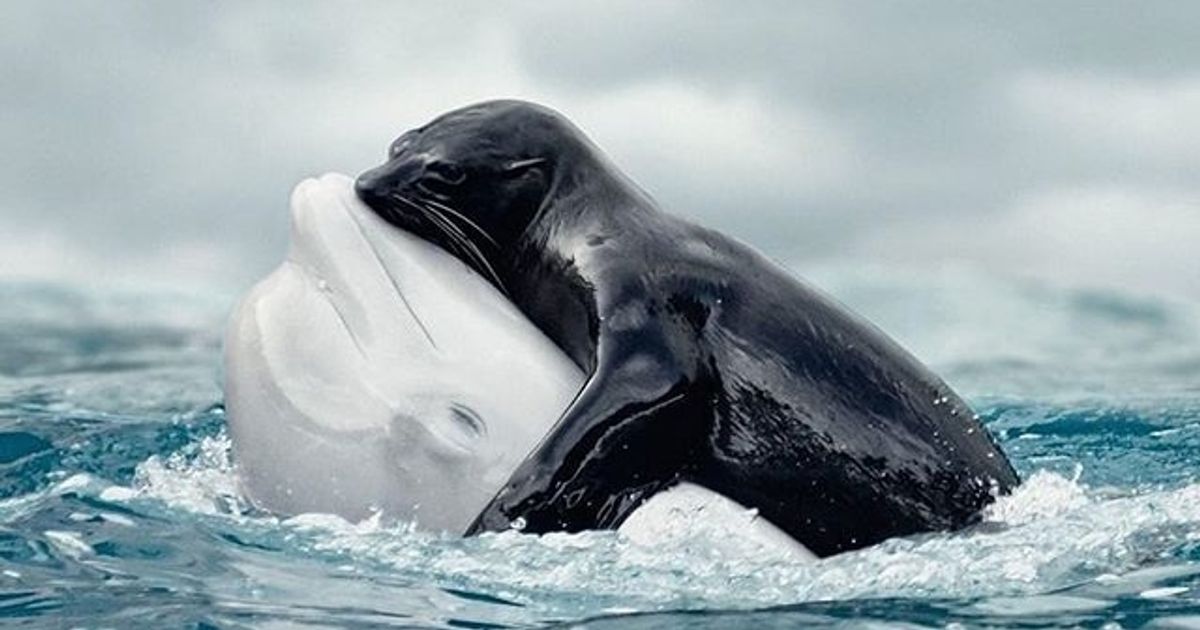 20 Photos That Are Too Stunning For Words