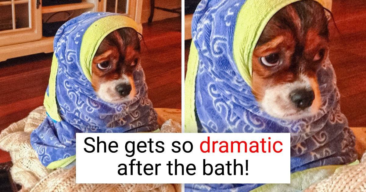 15 Emotional Pics That Will Make You Want to Hug the Whole World