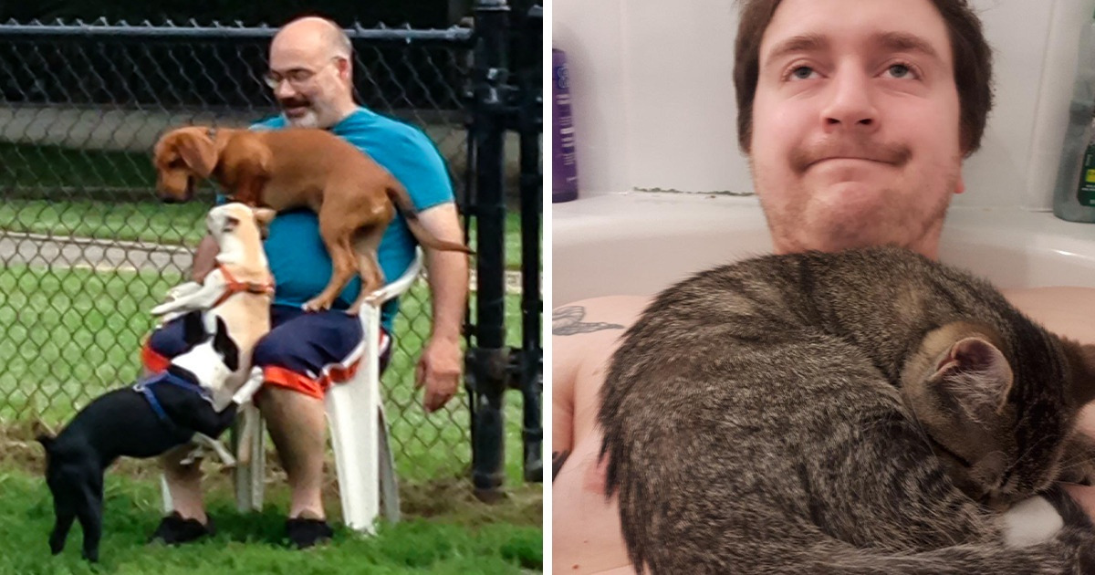 17 Clingy Pets Who Made People Forget About Personal Space