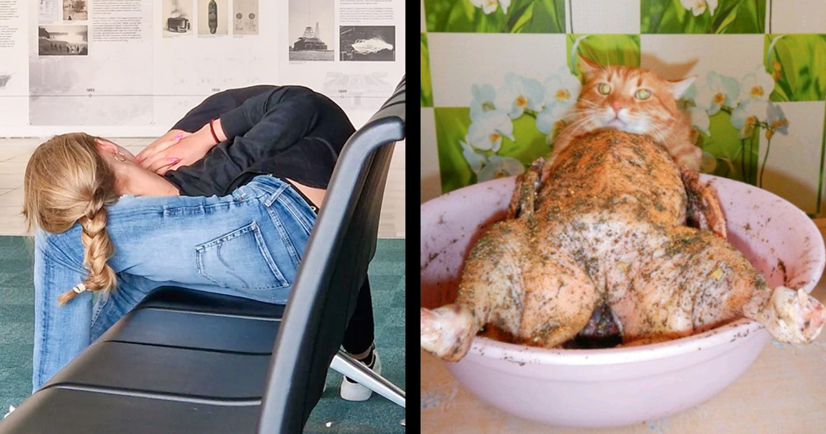 16 Photos That Prove How Life Can Often Be a Vortex of Confusion Waiting to Be Solved