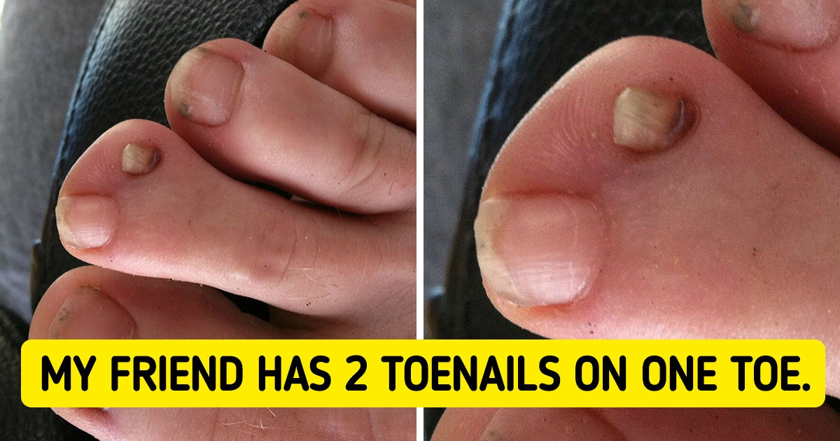 16 People Whose Day Is Far From Ordinary to Say the Least