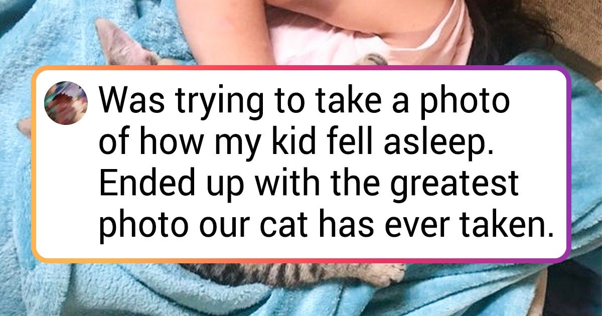 18 Photos That Will Catch Your Eye Thanks to Non-Standard Angles 18 Photos That Will Catch Your Eye Thanks to Non-Standard Angles