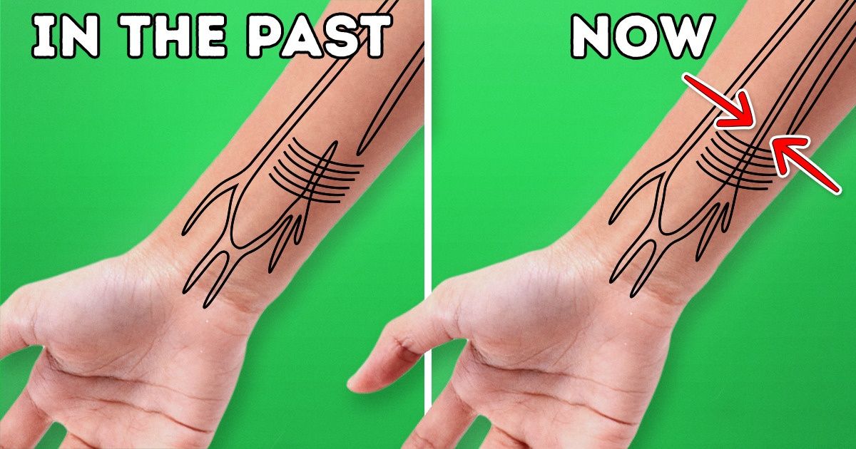 5 Signs That Show Humans Have Started to Evolve Pretty Fast