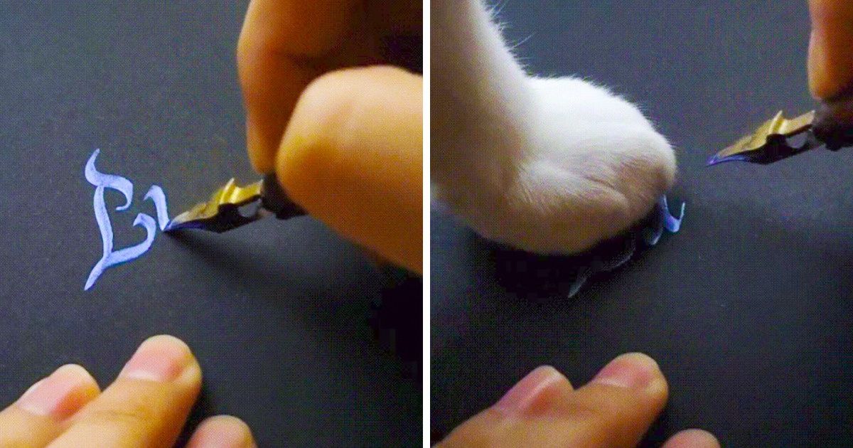 30+ People Reveal What It’s Like to Live With Real Savages