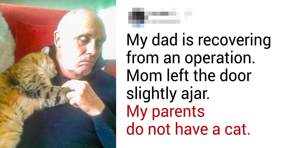23 Photos Proving Every Family Needs a Pet 23 Photos Proving Every Family Needs a Pet