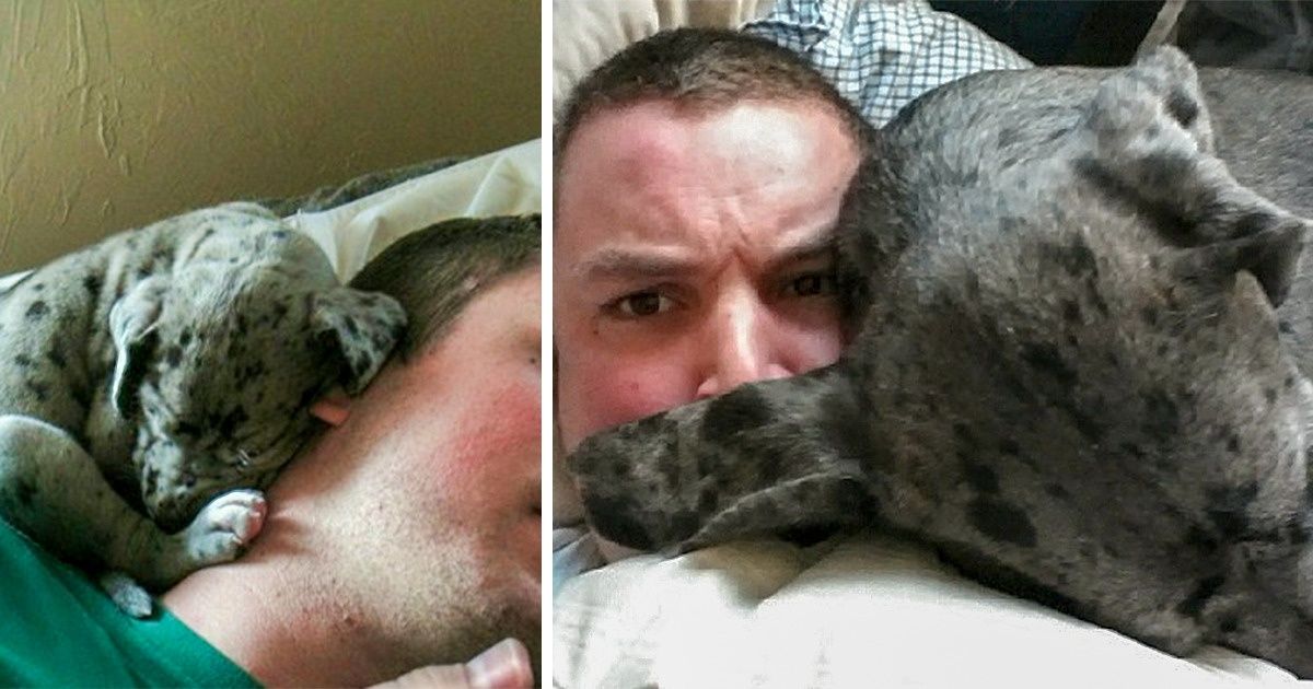 20 Photos of Pets Growing Up That Are So Touching, They Make Our Hearts Soar 20 Photos of Pets Growing Up That Are So Touching, They Make Our Hearts Soar