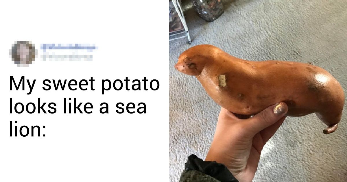 16 Times Mother Nature Reminded Us: You Don’t Have to Go Far to See Something Truly Surprising