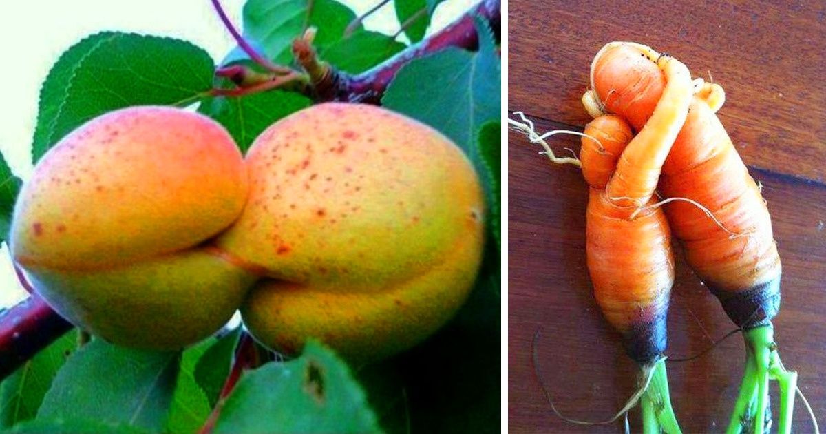 21 Startling Fruits and Vegetables That Seem to Have Come Alive