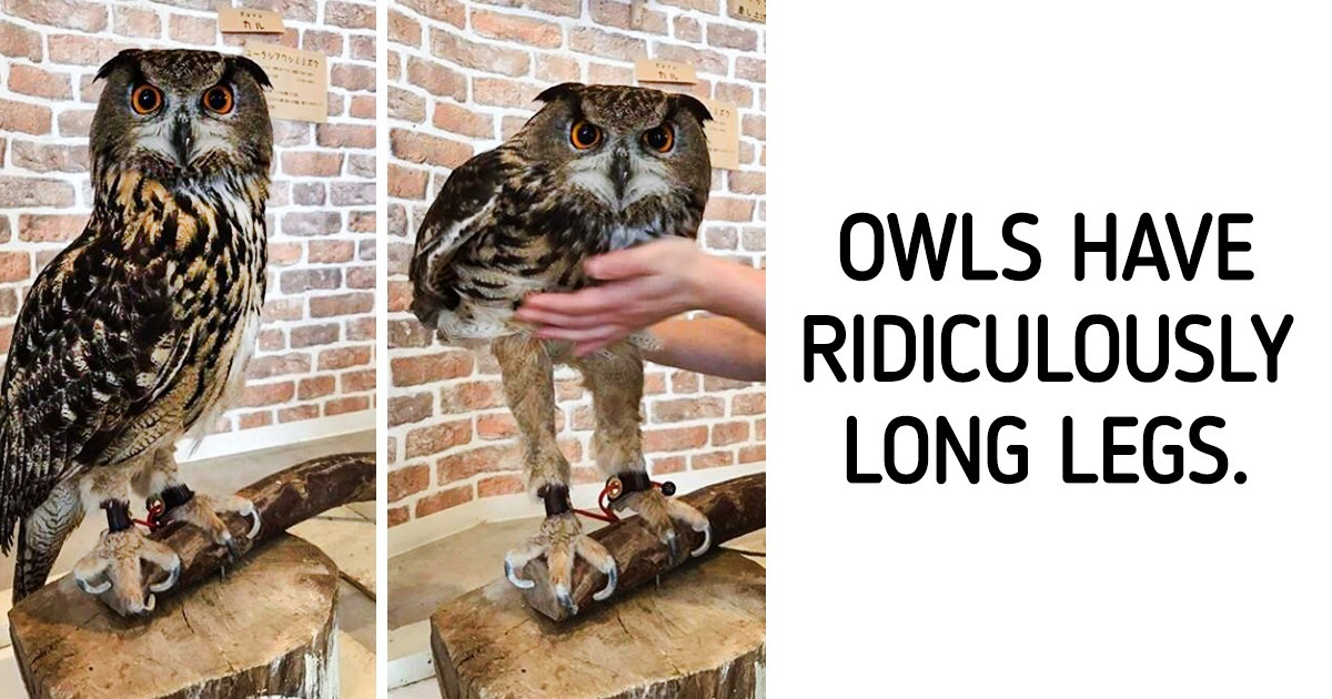 16 Pictures That Prove We Still Know Very Little About the World We Are Living In
