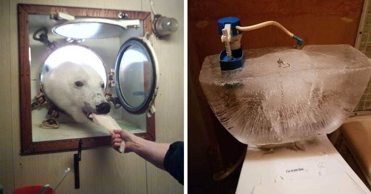 20+ Shots That Prove Winter’s Eventually Going to Sneak Into Everyone’s Lives
