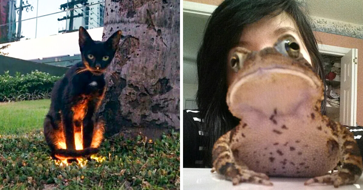 10+ Odd Situations That Hardly Anyone Can Explain