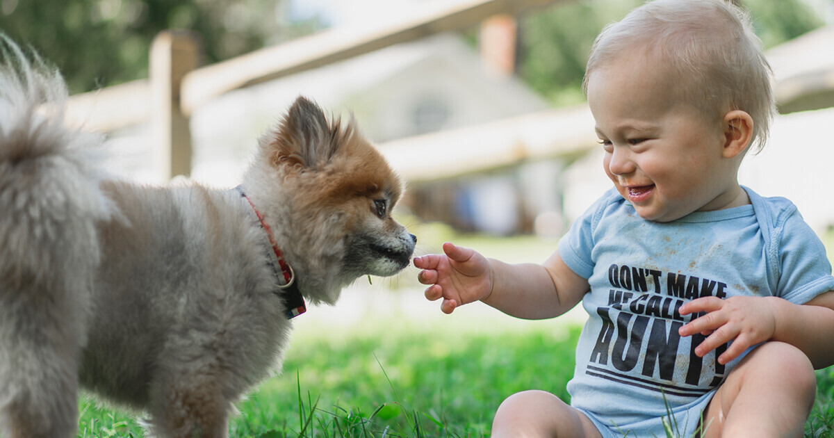 7 Unexpected Things Dogs Can Smell 7 Unexpected Things Dogs Can Smell