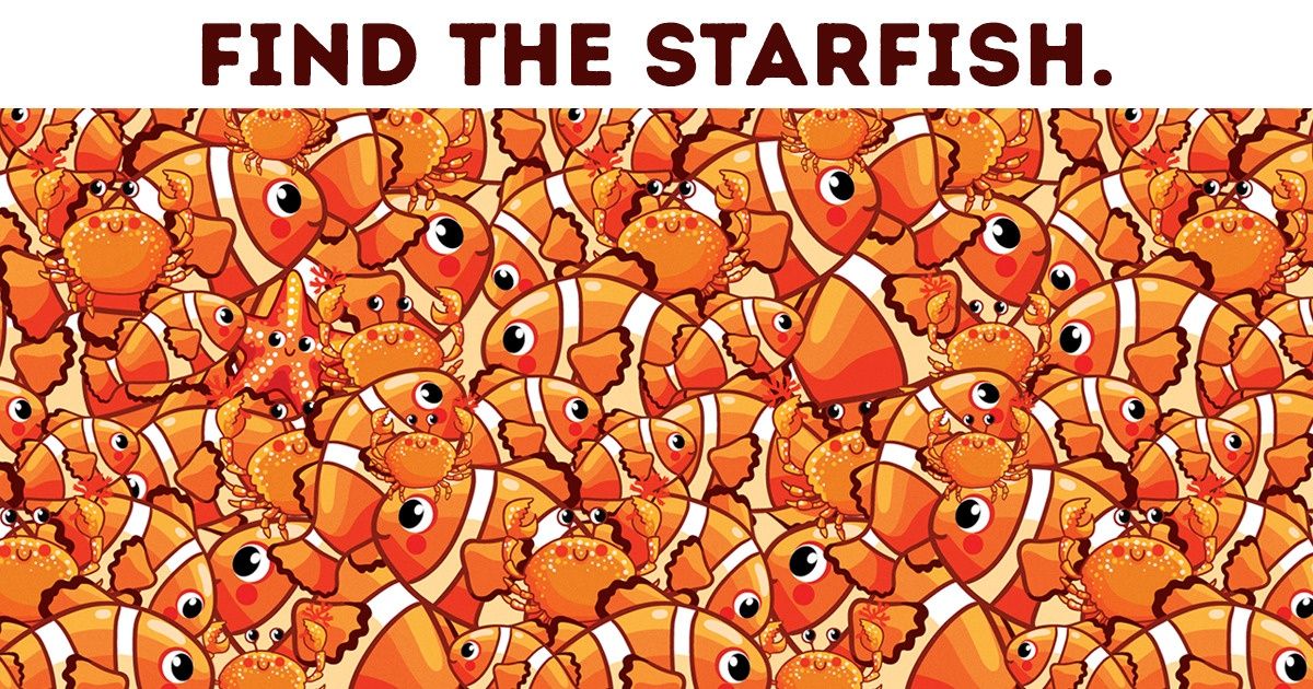 Check Your Visual Powers by Finding the Outsiders Hidden in These 20 Pictures