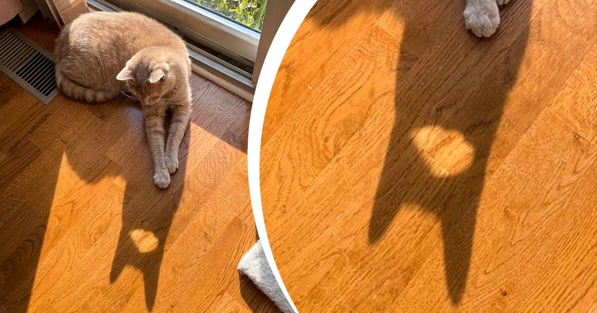 15+ Pics That Will Trap Your Mind in a Maze