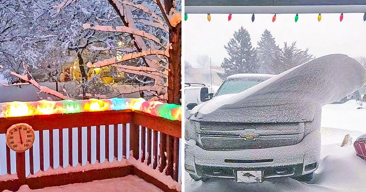 20+ Photos Showing The Mesmerizing Power of Snow