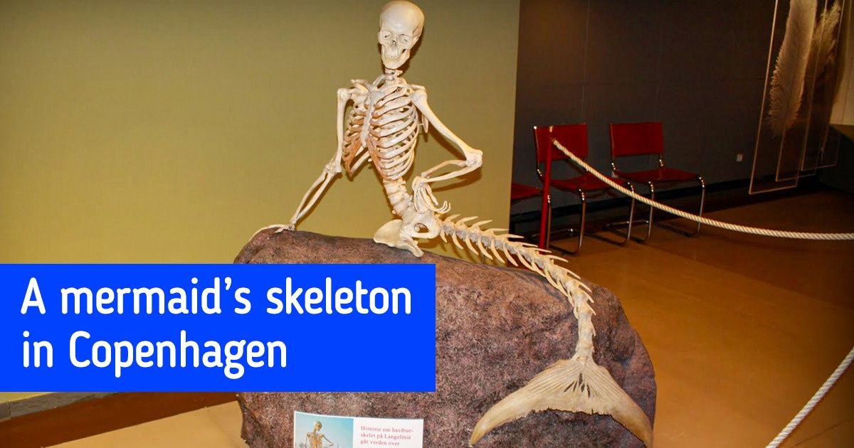 23 Museum Exhibits That Feature Single Copies of Incredible Things 23 Museum Exhibits That Feature Single Copies of Incredible Things