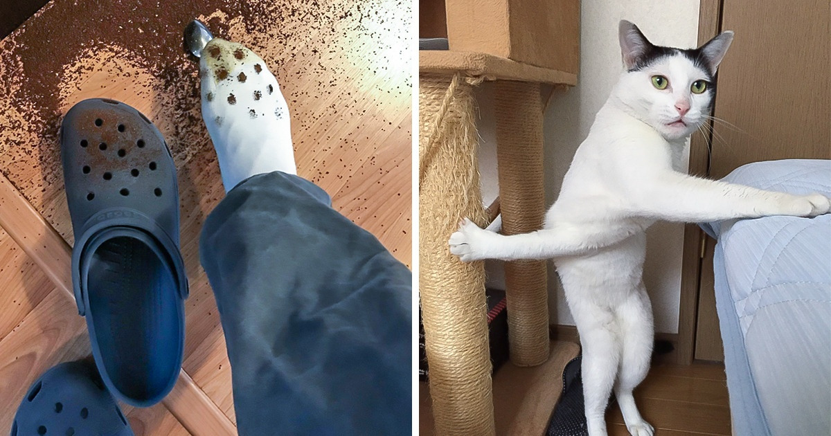 20 Times It Was Just an Ordinary Day Until Mistakes Were Made