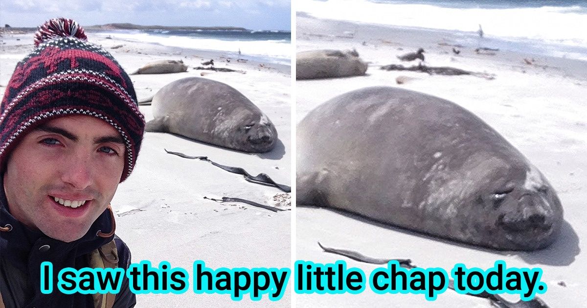 17 Times People Saw Something That Turned Their Day Upside Down