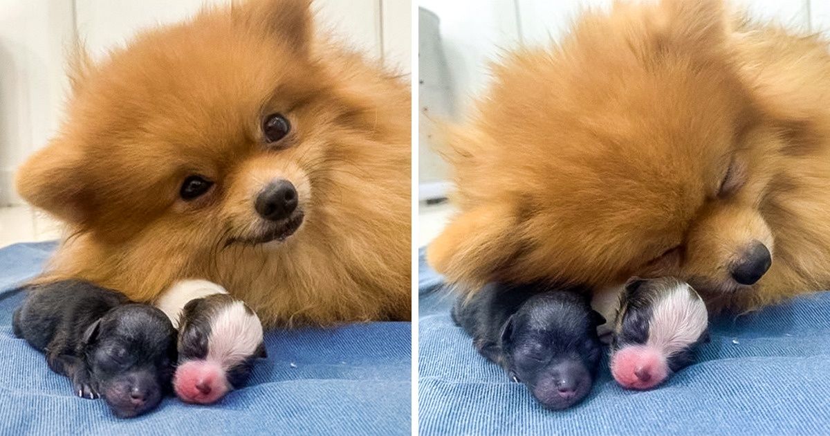 25 Photos That Show What It Means to Be a Mother 25 Photos That Show What It Means to Be a Mother