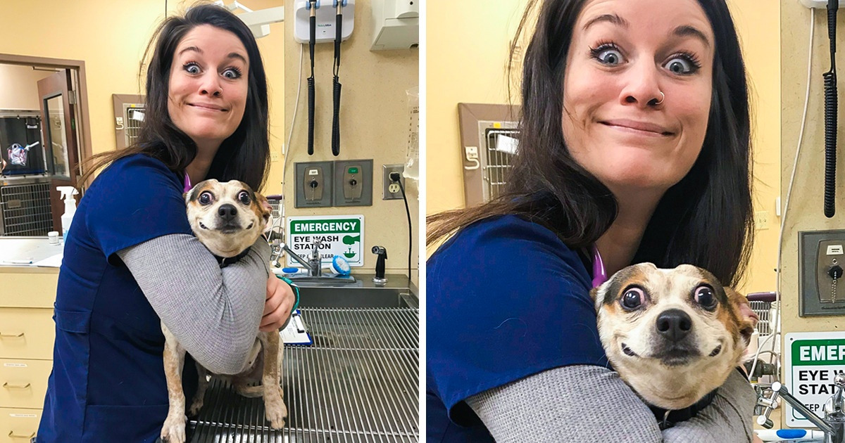 15 Pics That Are Guaranteed to Make Your Mood Even Brighter
