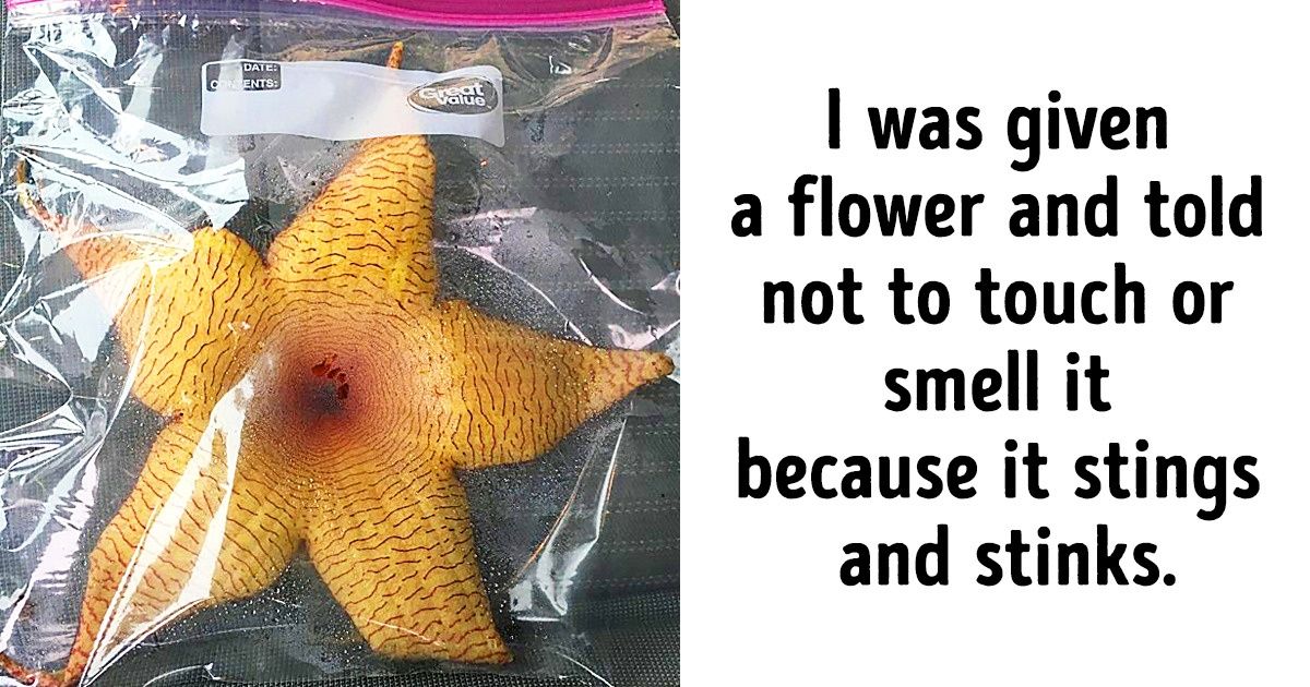 15 Times the End of a Story Was Better Than the Story Itself