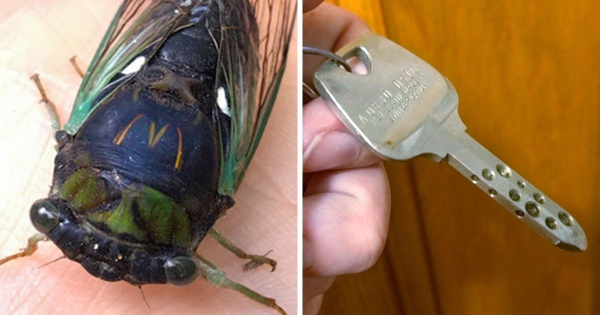 25 People Who Have a Hard Time Explaining What They’ve Discovered