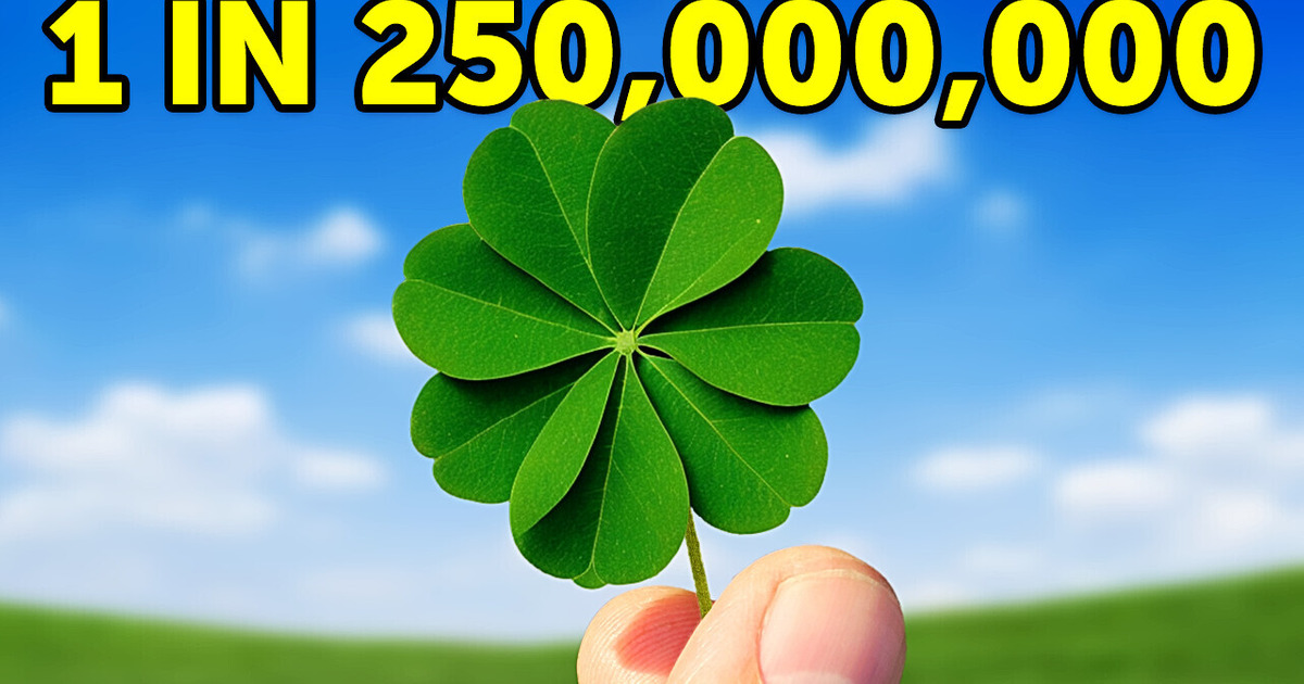 23 Rarest of Rare Things on the Planet (Including YOU!)