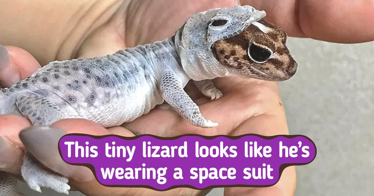 15+ Pics That Prove There Are So Many Things We Haven’t Seen Yet