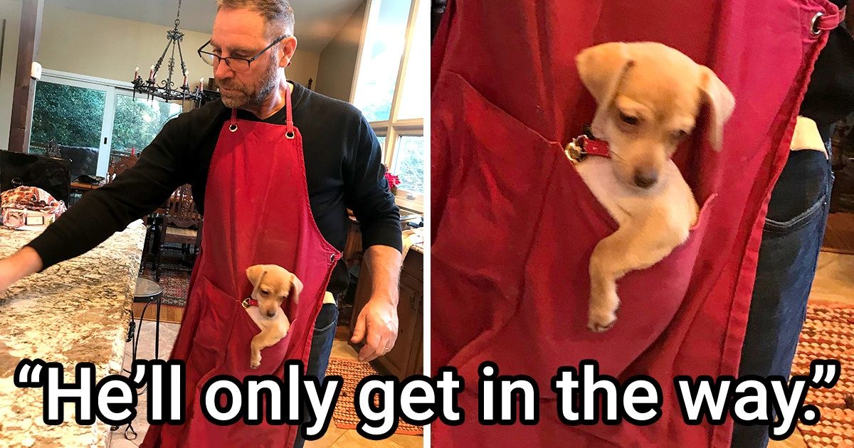 20 Men Who Unexpectedly Formed a Special Bond With Their Pets 20 Men Who Unexpectedly Formed a Special Bond With Their Pets