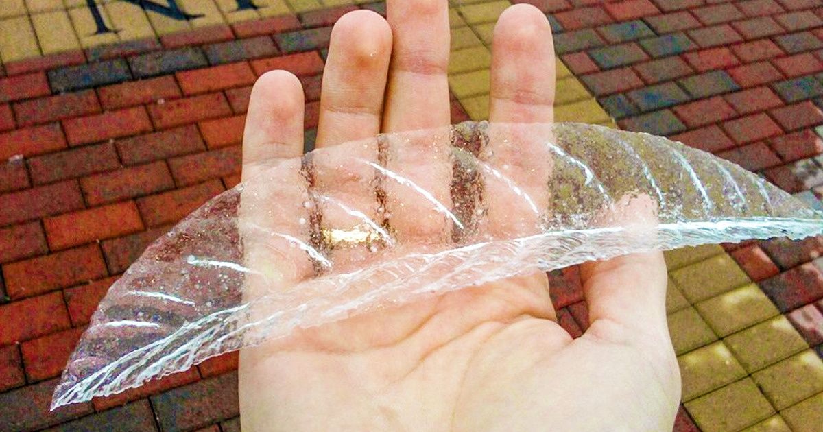 18 Spontaneous Shots That Are More Unlikely Than a Lottery Win 18 Spontaneous Shots That Are More Unlikely Than a Lottery Win
