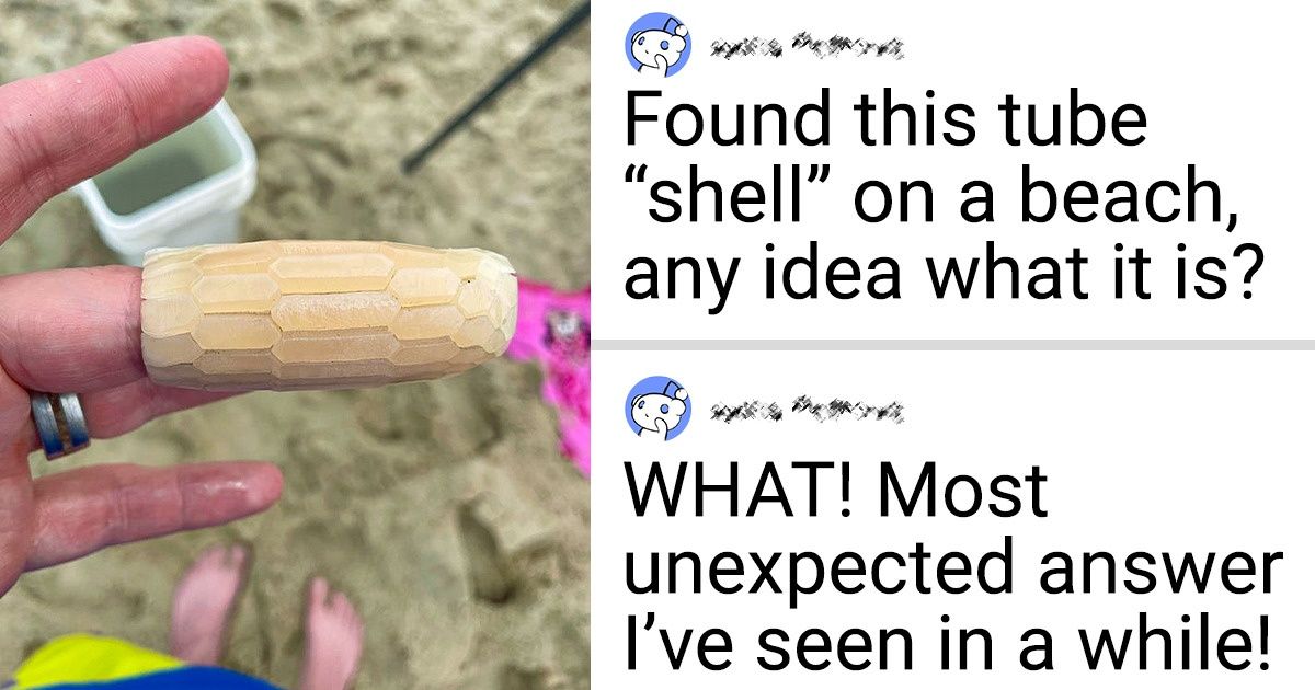 20 Mysterious Objects That Have a Totally Different Explanation Than What We Imagined
