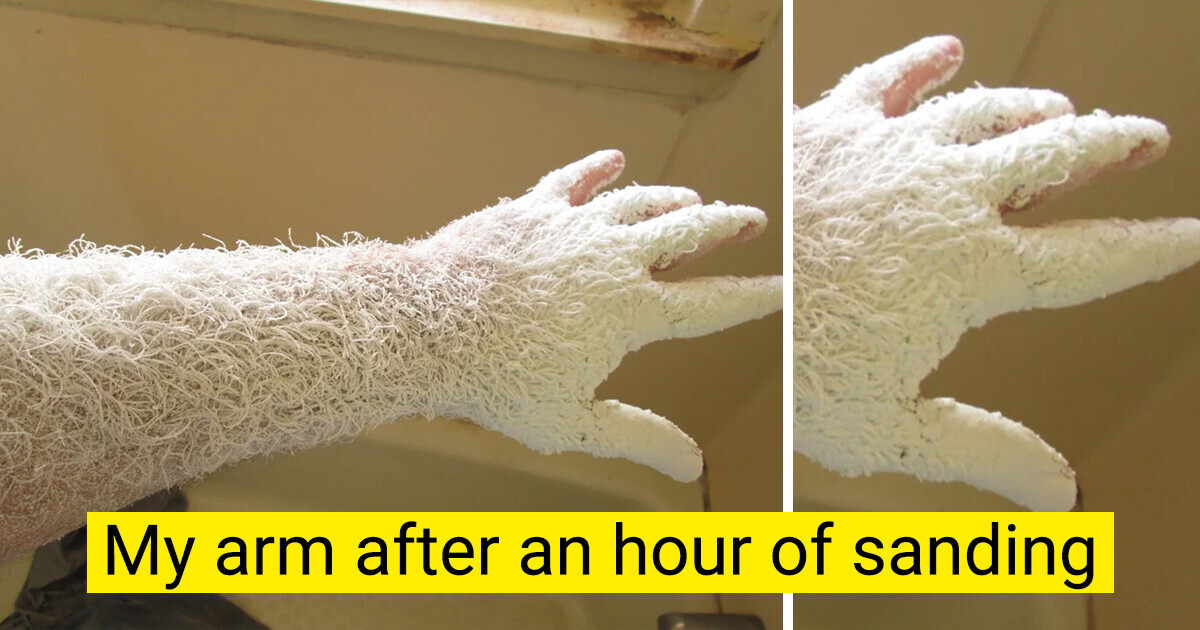 15+ Pictures That You Don’t See Everyday