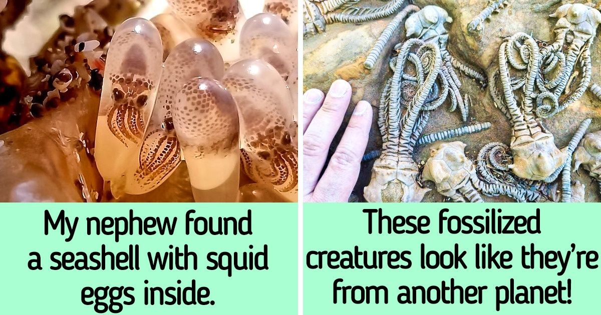 15 People Showed Us Another Side of Life That Not Everyone Has Seen