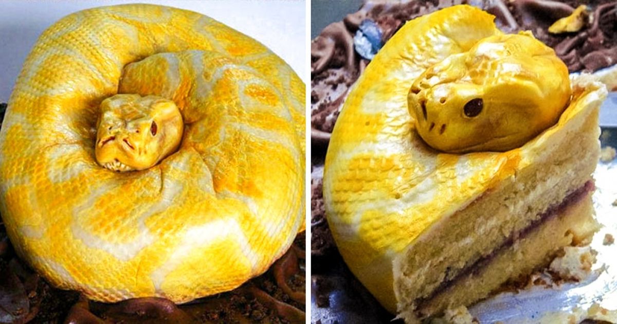 24 Cakes That Change Baking Into an Art Form