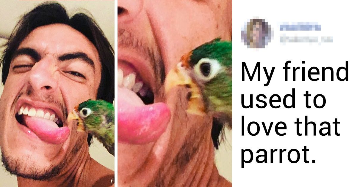 15+ Photos That Prove No One Is Safe From a Bad Day 15+ Photos That Prove No One Is Safe From a Bad Day