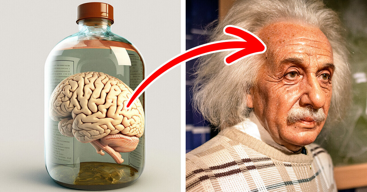 He Worked as a Clerk and Other Facts You Didn’t Know About Einstein He Worked as a Clerk and Other Facts You Didn’t Know About Einstein