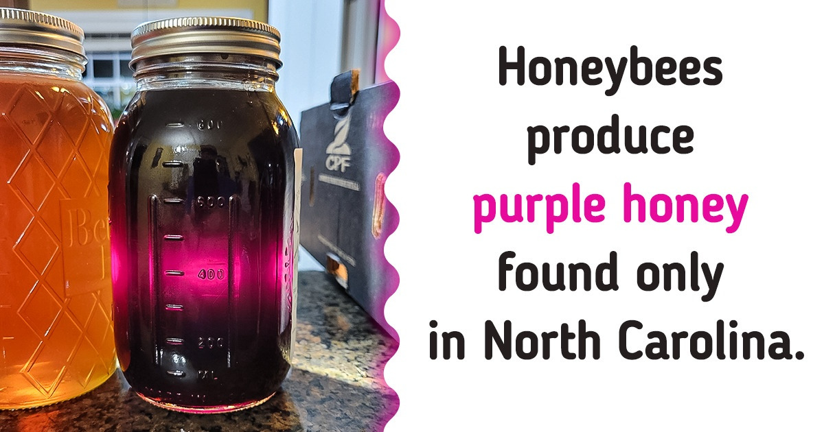 15 Things We Don’t See Every Day That Actually Exist 15 Things We Don’t See Every Day That Actually Exist