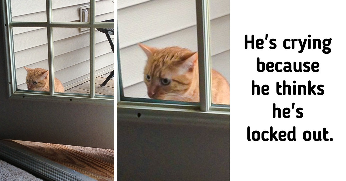 20 Pics That Prove Our Life Is Actually a Comedy Movie