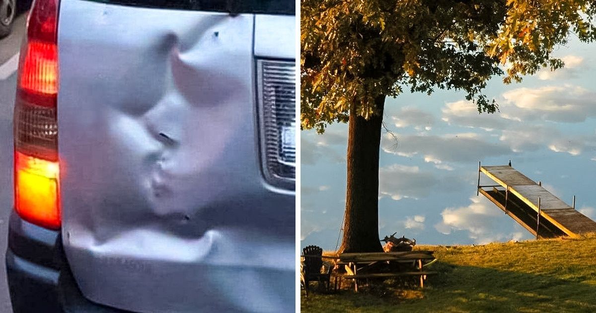 20 Pics That Can Blow Your Mind If You Look a Little Closer