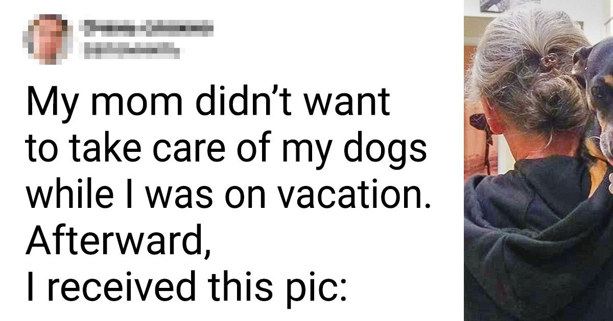 15+ Moms Who Didn’t Want Pets in the House but Now Love Them to Death 15+ Moms Who Didn’t Want Pets in the House but Now Love Them to Death
