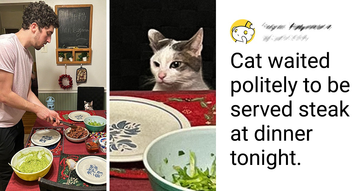 17 Pics That Are Real Mood Boosters