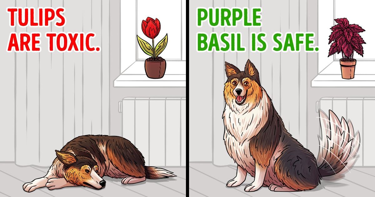15 Plants to Avoid Keeping If You Have Pets