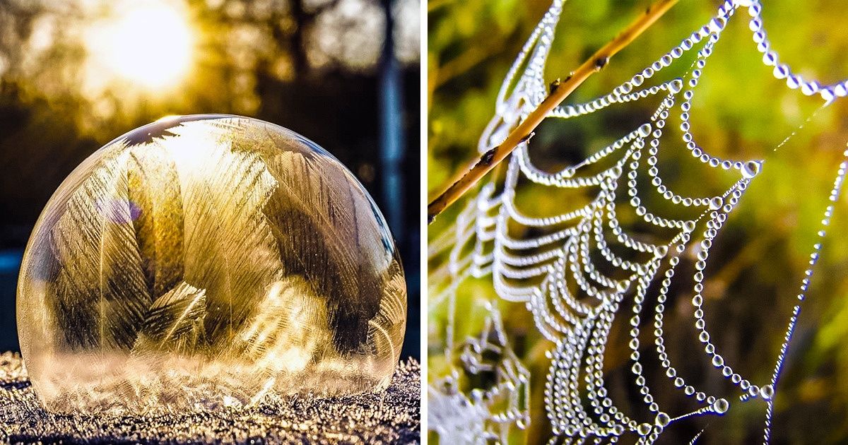 22 Majestic Sights You Might Want to Set as Your Wallpaper Right Away
