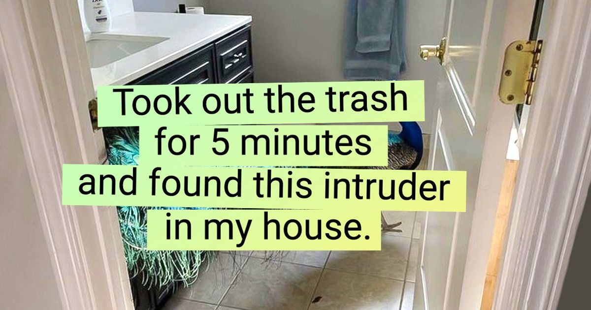 16 Pics That Prove Reality Is Stranger Than Fiction