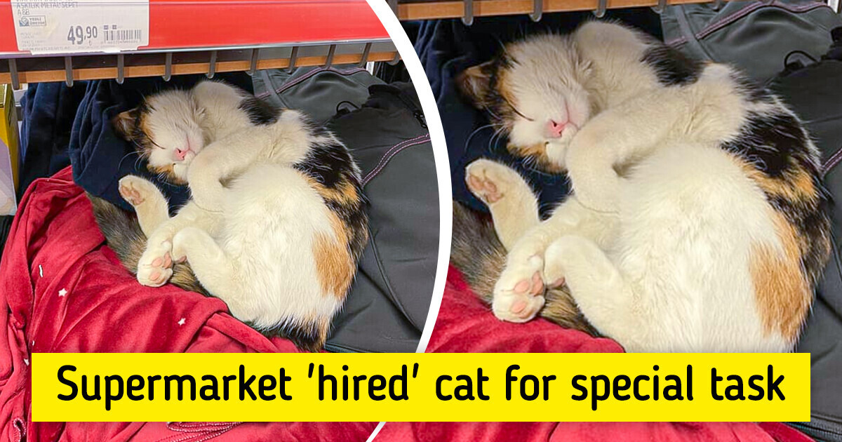 11 Secrets Supermarkets Don’t Want You to Know