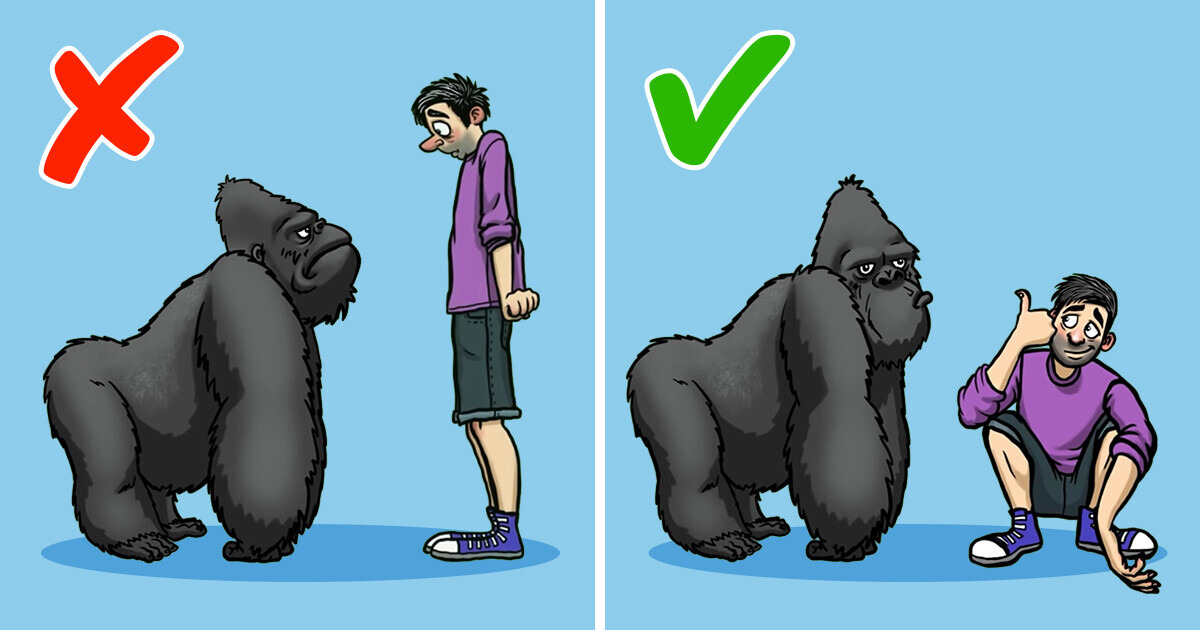 12 Emergency Situations and Survival Tips Not Taught in School 12 Emergency Situations and Survival Tips Not Taught in School