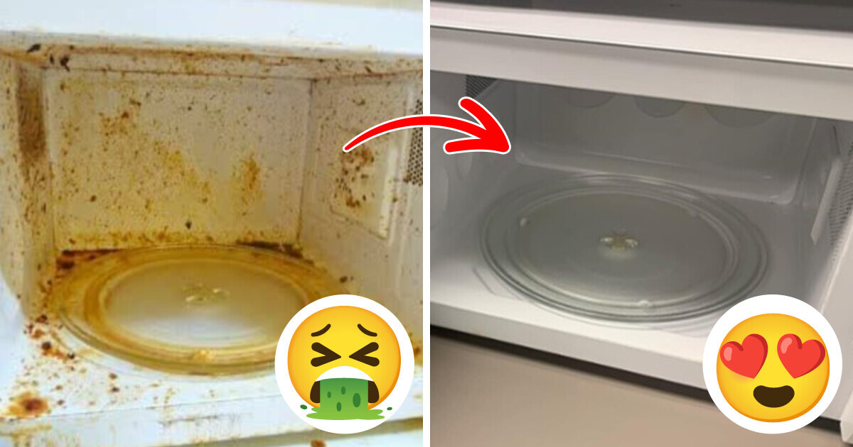 your guests won’t believe how spotless your house is thanks to these 15 products your guests won’t believe how spotless your house is thanks to these 15 products